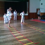 taekwondo-WTF-soustredeni-2014-4