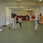 taekwondo-frydek-mistek-lacek5